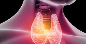 5 alimentos que ajudam a regular tireoide; saiba o que evitar