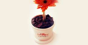 Presenteie sua mãe com sorvete artesanal