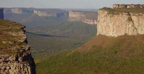 Foto: (Imagem sem texto alternativo disponivel ID [603195])