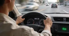 Foto: (Imagem sem texto alternativo disponivel ID [2708419])