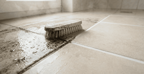 Foto: (Imagem sem texto alternativo disponivel ID [2753333])