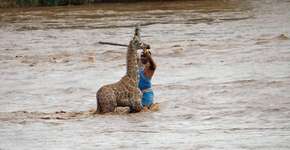 Foto: (Imagem sem texto alternativo disponivel ID [1027151])