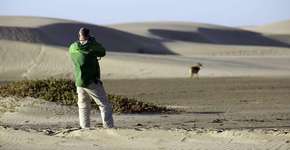 Foto: (Imagem sem texto alternativo disponivel ID [1869068])