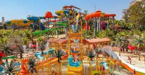 Foto: (Divulgação)