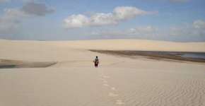 Foto: (Imagem sem texto alternativo disponivel ID [1521851])