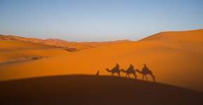 Foto: (Imagem sem texto alternativo disponivel ID [809355])