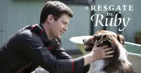 Esse filme uniu minha família por duas horas e emocionou todo mundo aqui em casa