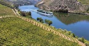 Foto: (Divulgação/Scenic Group)