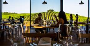 Alentejo é eleita uma das melhores regiões vinícolas para visitar