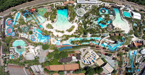 Foto: (Divulgação)