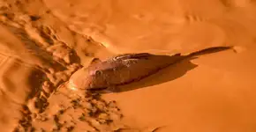 Playlist do fim de semana: ‘#AbraçaMariana’ chama a atenção para desastre em MG