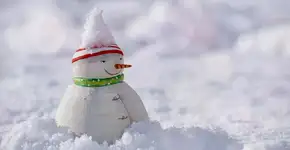 Foto: (Imagem ilustrativa: Pixabay)