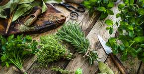 Foto: (fcafotodigital/itock)