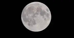 Foto: (Peter de Vink/Pexels)