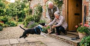 O cachorro visita a casa dos avós depois de duas semanas, mas parece uma eternidade