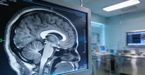 Foto: (Imagem sem texto alternativo disponivel ID [2676768])