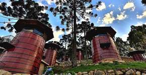 Foto: (Imagem sem texto alternativo disponivel ID [1867666])