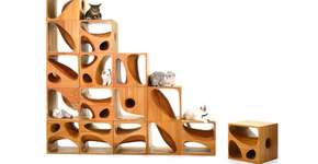 Foto: (Imagem sem texto alternativo disponivel ID [1869738])