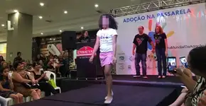 Foto: (Divulgação/OAB)