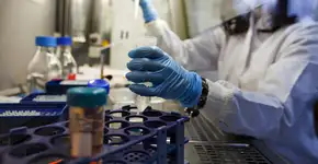 Foto: (gevende/istock)