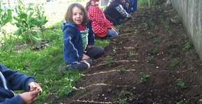Em escola agrícola no meio da cidade, crianças aprendem a plantar o que vão comer