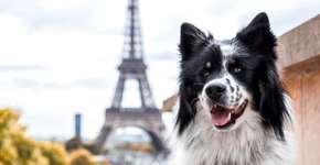 Foto: (Imagem sem texto alternativo disponivel ID [2722141])