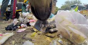 Foto: (Imagem sem texto alternativo disponivel ID [858873])