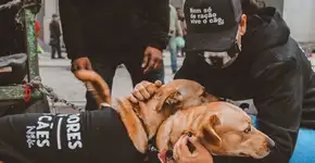 Ação doa moletons para moradores e animais de ruas em SP