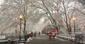 Inverno em Nova York: dicas para aproveitar melhor a cidade