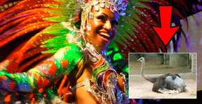 Foto: (Imagem sem texto alternativo disponivel ID [1032283])