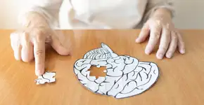 Foto: (aom.am.op@gmail.com/DepositPhotos)