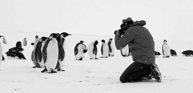 13ª Mostra Ecofalante de Cinema