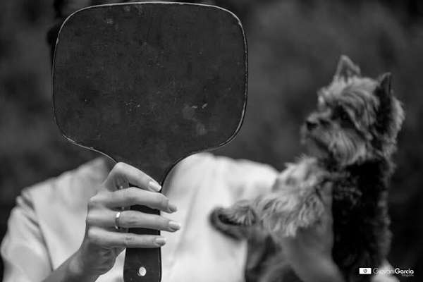 Cachorros de diferentes raças e tamanhos e compõe as fotos do book do casamento ou na própria cerimônia (imagem: Giovani Garcia) 