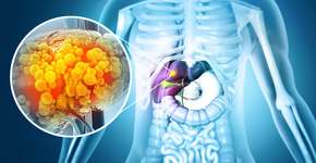 Foto: (iStock/Mohammed Haneefa Nizamudeen)