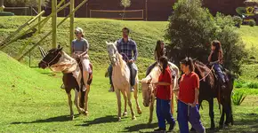 Foto: (Divulgação)