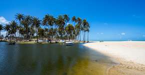 5 praias que são um verdadeiro paraíso para famílias no RN