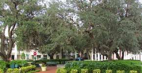 Foto: (Imagem sem texto alternativo disponivel ID [1867612])