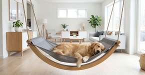 Foto: (Imagem sem texto alternativo disponivel ID [2788112])