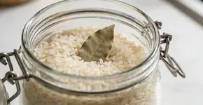 Foto: (Imagem sem texto alternativo disponivel ID [2701348])