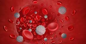 Foto: (Artur Plawgo/istock)