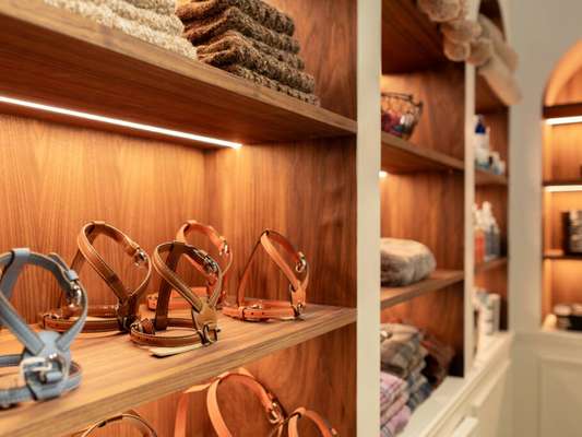 Espaço dedicado ao banho e cuidados estéticos para cães