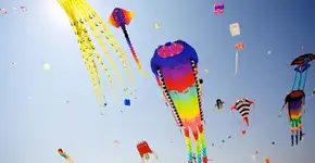 Foto: (Massimo Merlini/ iStock)