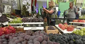 Foto: (Prefeitura de Jundiaí)