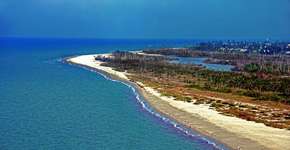 Fort Myers e Sanibel têm golfinhos livres e santuário de aligátores