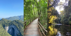 Foto: (Divulgação/Governo de SP)