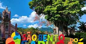 Foto: (Divulgação/PMSBS)