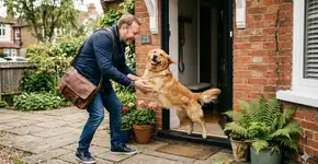 Seu cachorro não está “feliz” quando você chega em casa: o que ninguém te contou sobre a ansiedade extrema que você mesmo pode estar causando