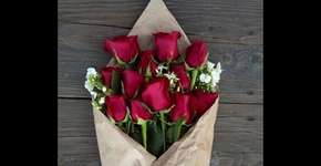 Foto: (Imagem sem texto alternativo disponivel ID [406926])