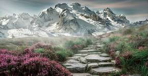 Foto: (Imagem sem texto alternativo disponivel ID [1842771])