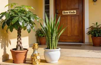 Secondary news: 5 plantas que atraem dinheiro e sorte apenas colocando elas no lugar certo